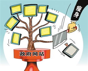 北京政府网站减至80多家 精简归并，服务如何更高效？